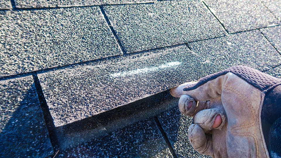 Roof Inspection